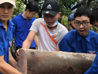 Tuổi trẻ Bình Định chung tay khắc phục hậu quả cơn bão số 5
