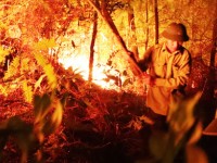 Truy tặng Huân chương Dũng cảm cho người phụ nữ chết cháy khi cứu rừng