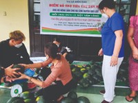 Chung tay "giải cứu" 5 tấn dưa hấu cho bà con huyện Đại Lộc